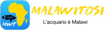 Malawitosi.com - Powered by vBulletin